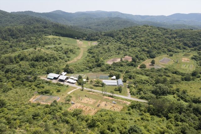 開場22年目の夏