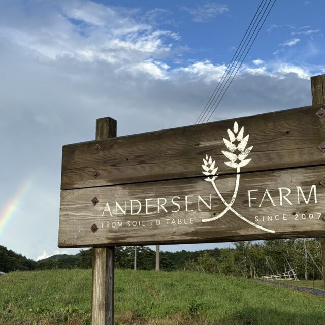 収穫期真っ盛りの芸北から、ぶどうとりんごの便り