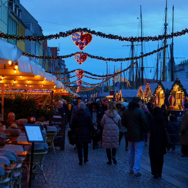 フレスケスタイ（デンマークのローストポーク）