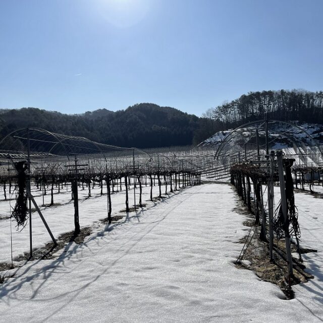 春に備えるアンデルセンファーム