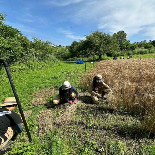 23年目の夏を迎えました。